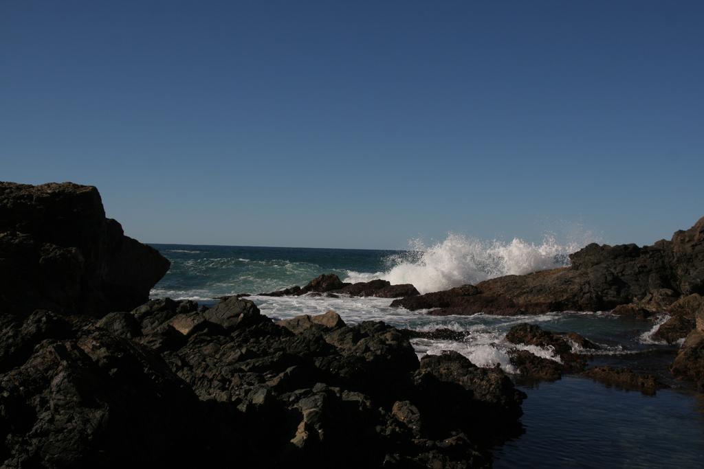 Port Macquarie Motel Dış mekan fotoğraf